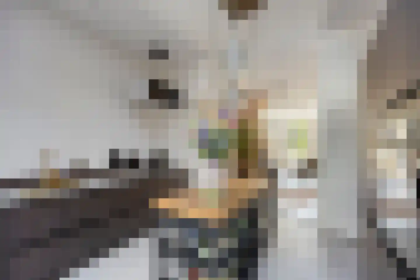 Kapellerlaan 259 Roermond thumbnail 21