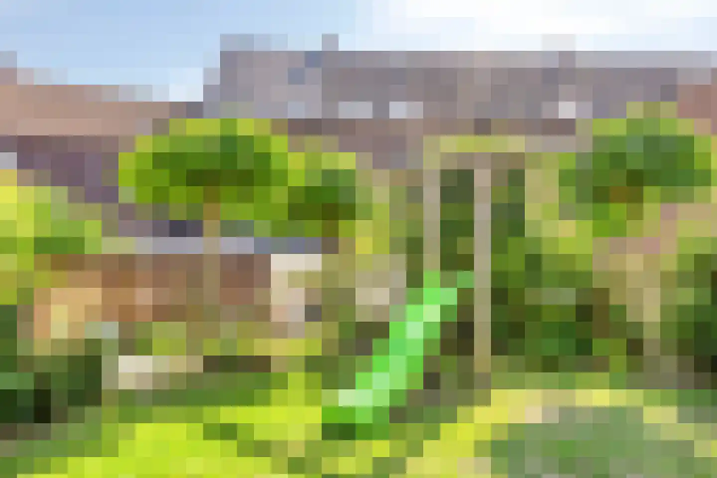 Kapellerlaan 259 Roermond thumbnail 57