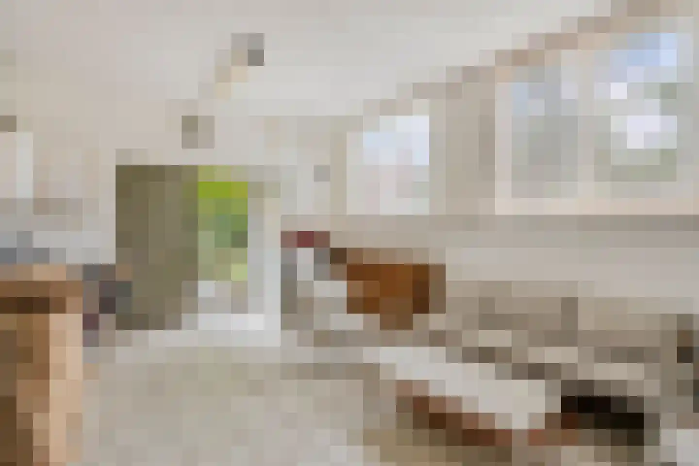 Kapellerlaan 259 Roermond thumbnail 60