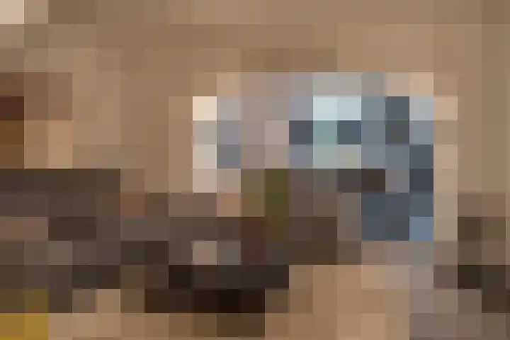 Kapellerlaan 36 A 2 Roermond thumbnail 19