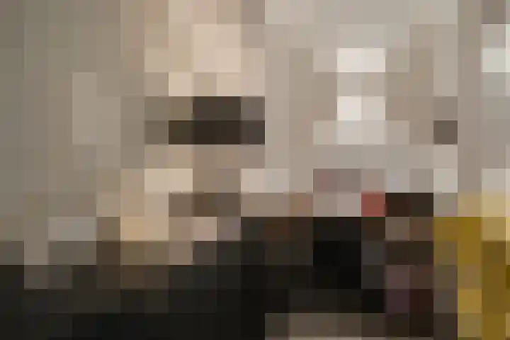 Kapellerlaan 36 A 2 Roermond thumbnail 20
