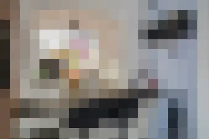 Kapellerlaan 36 A 2 Roermond thumbnail 4