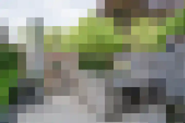 Kapellerlaan 36 A 2 Roermond thumbnail 53