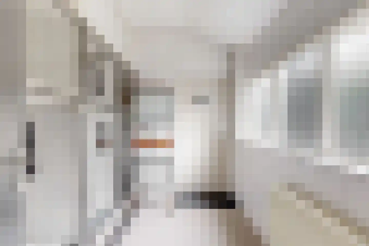 Kapellerlaan 65 Roermond thumbnail 33