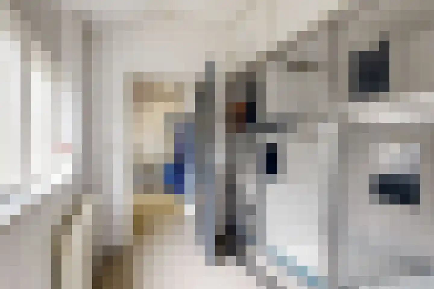 Kapellerlaan 65 Roermond thumbnail 34