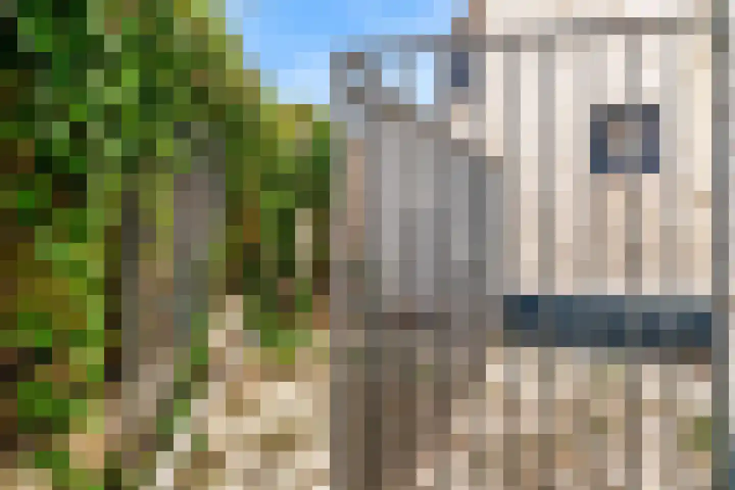 Kapellerlaan 65 Roermond thumbnail 38