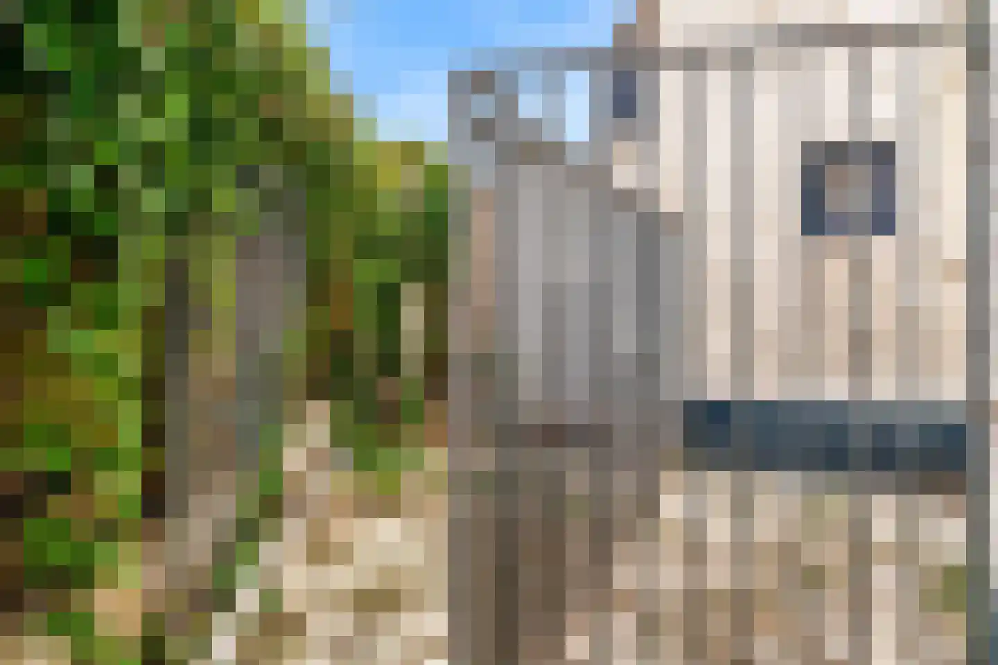 Kapellerlaan 65 Roermond thumbnail 38