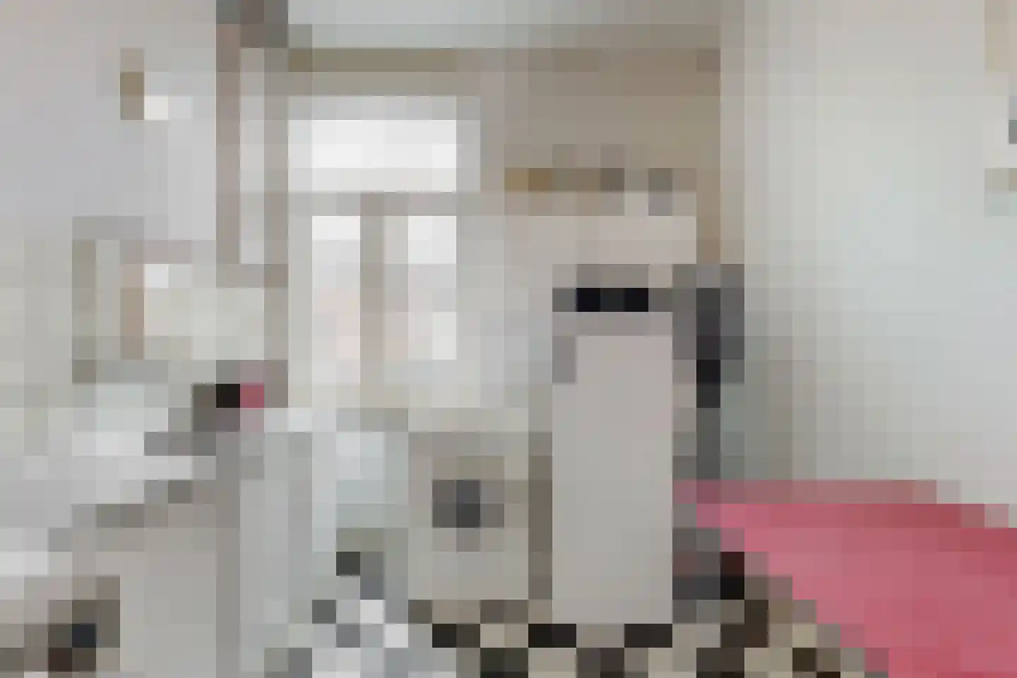 Kapellerlaan 65 Roermond thumbnail 4