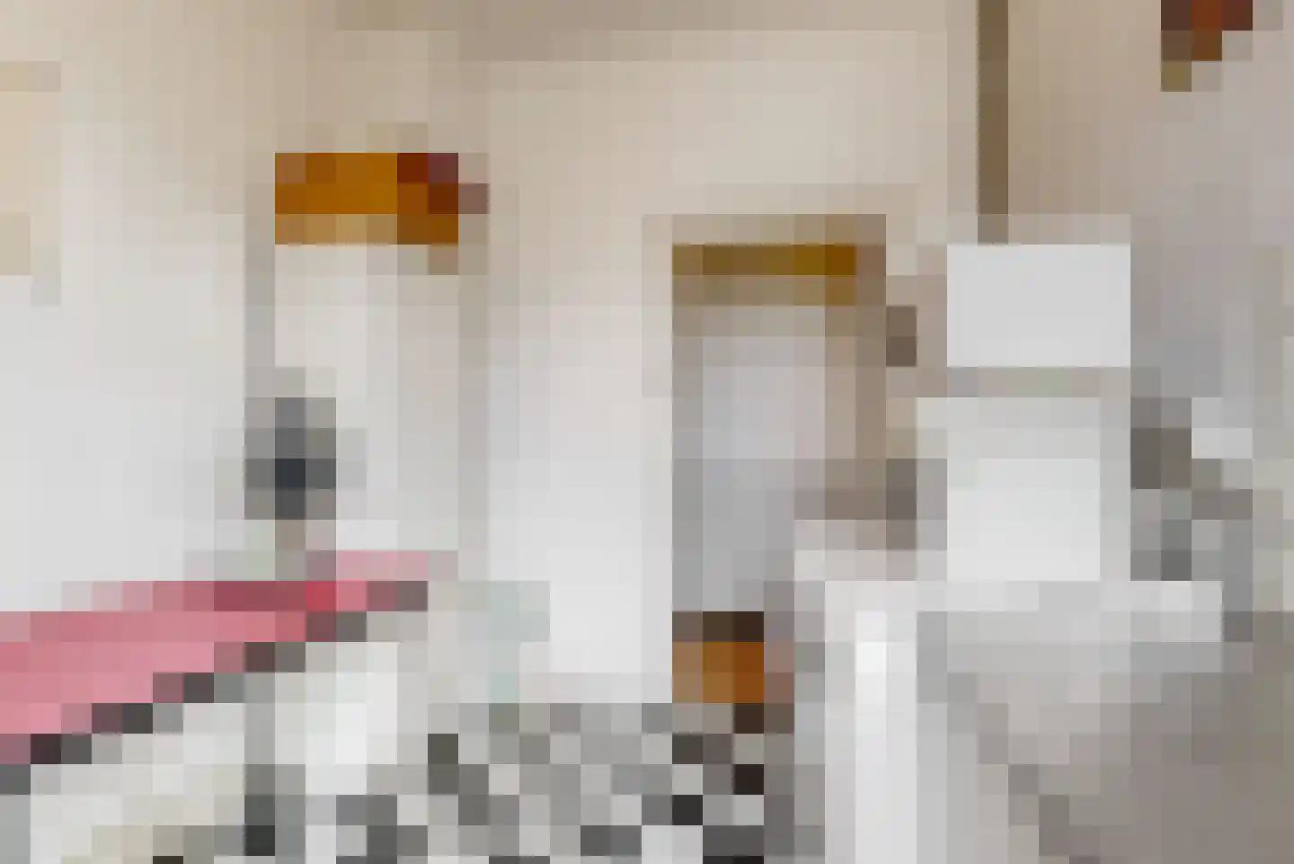 Kapellerlaan 65 Roermond thumbnail 5