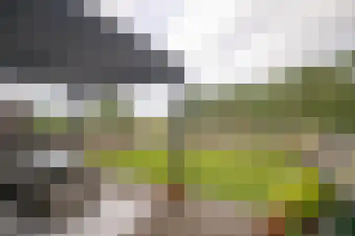 Kapellerlaan 66 Roermond thumbnail 23