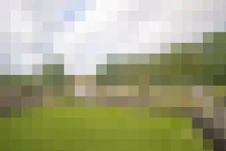 Kapellerlaan 66 Roermond thumbnail 24
