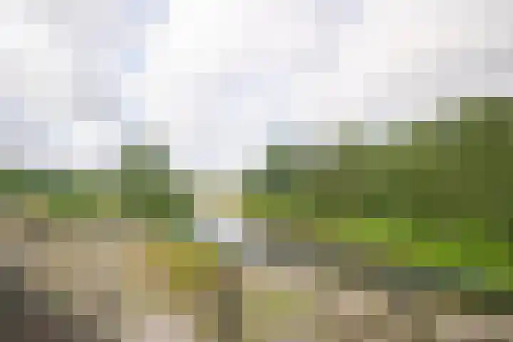 Kapellerlaan 66 Roermond thumbnail 25