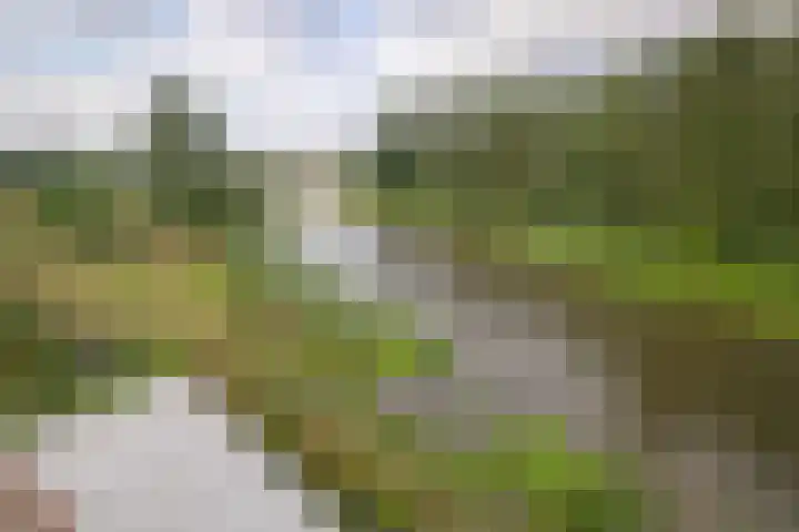Kapellerlaan 66 Roermond thumbnail 26