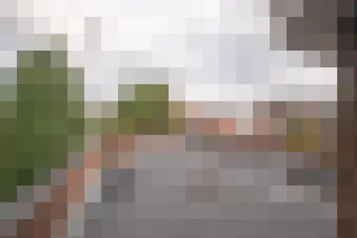 Kapellerlaan 66 Roermond thumbnail 36