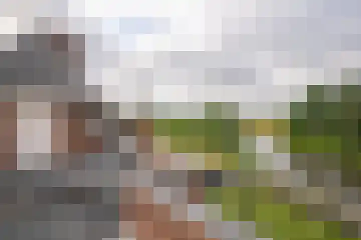 Kapellerlaan 66 Roermond thumbnail 37