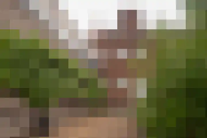 Kapellerlaan 66 Roermond thumbnail 38