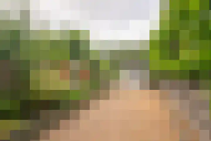 Kapellerlaan 66 Roermond thumbnail 39