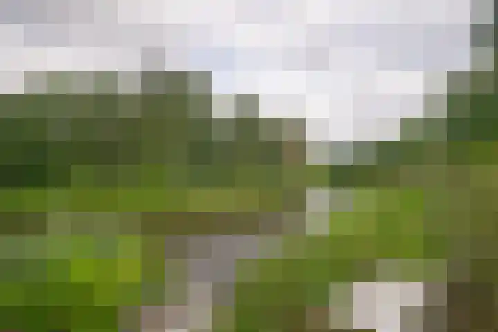Kapellerlaan 66 Roermond thumbnail 40