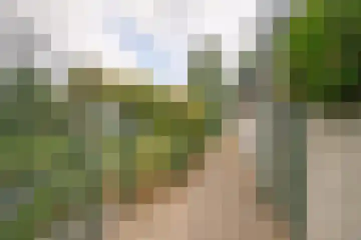 Kapellerlaan 66 Roermond thumbnail 42