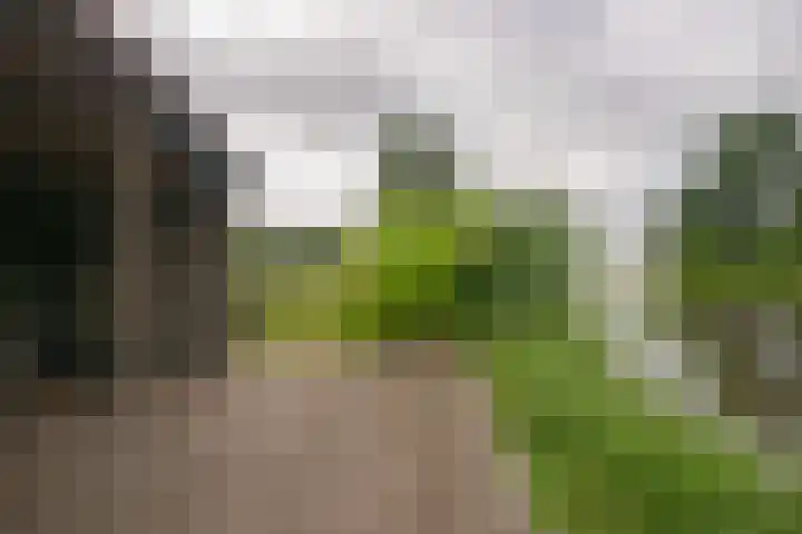 Kapellerlaan 66 Roermond thumbnail 43