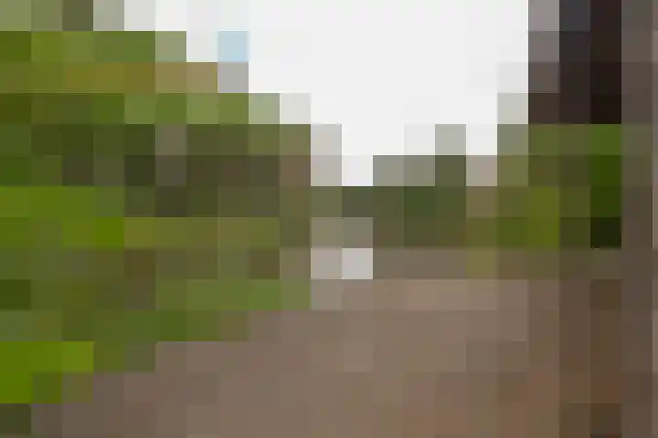 Kapellerlaan 66 Roermond thumbnail 44