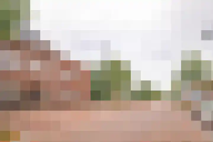 Kapellerlaan 66 Roermond thumbnail 47
