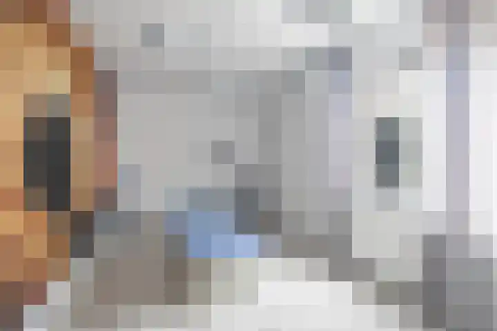 Kapellerlaan 66 Roermond thumbnail 8
