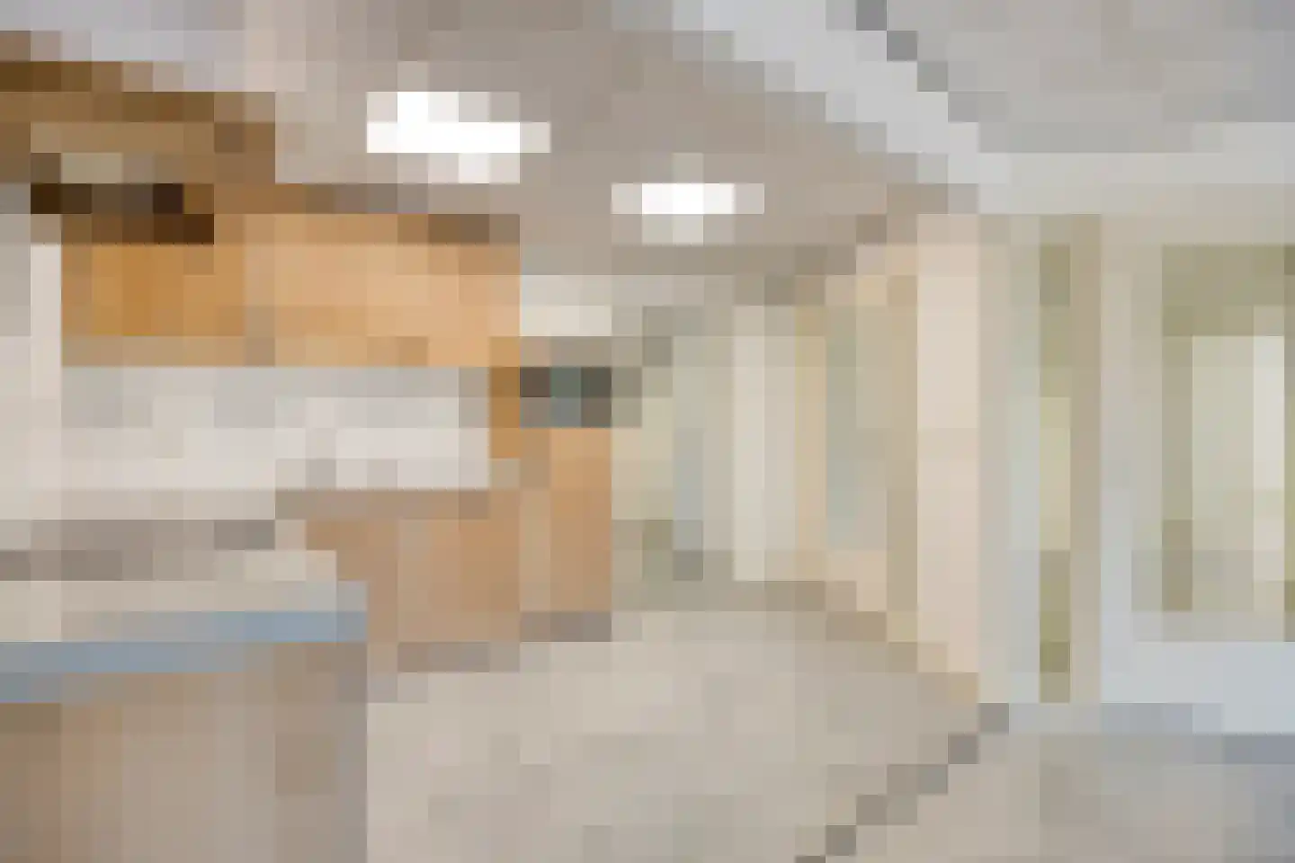 Kapellerlaan 67 A Roermond thumbnail 6