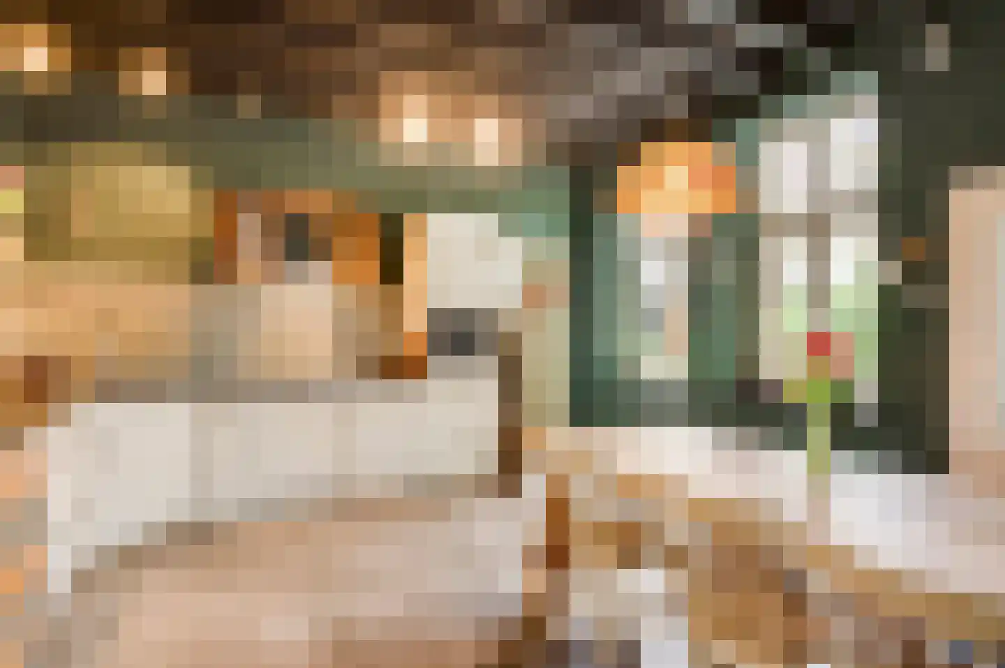 Kapellerlaan 73 Roermond thumbnail 23