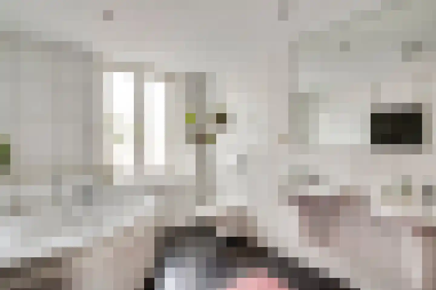 Kapellerlaan 73 Roermond thumbnail 36