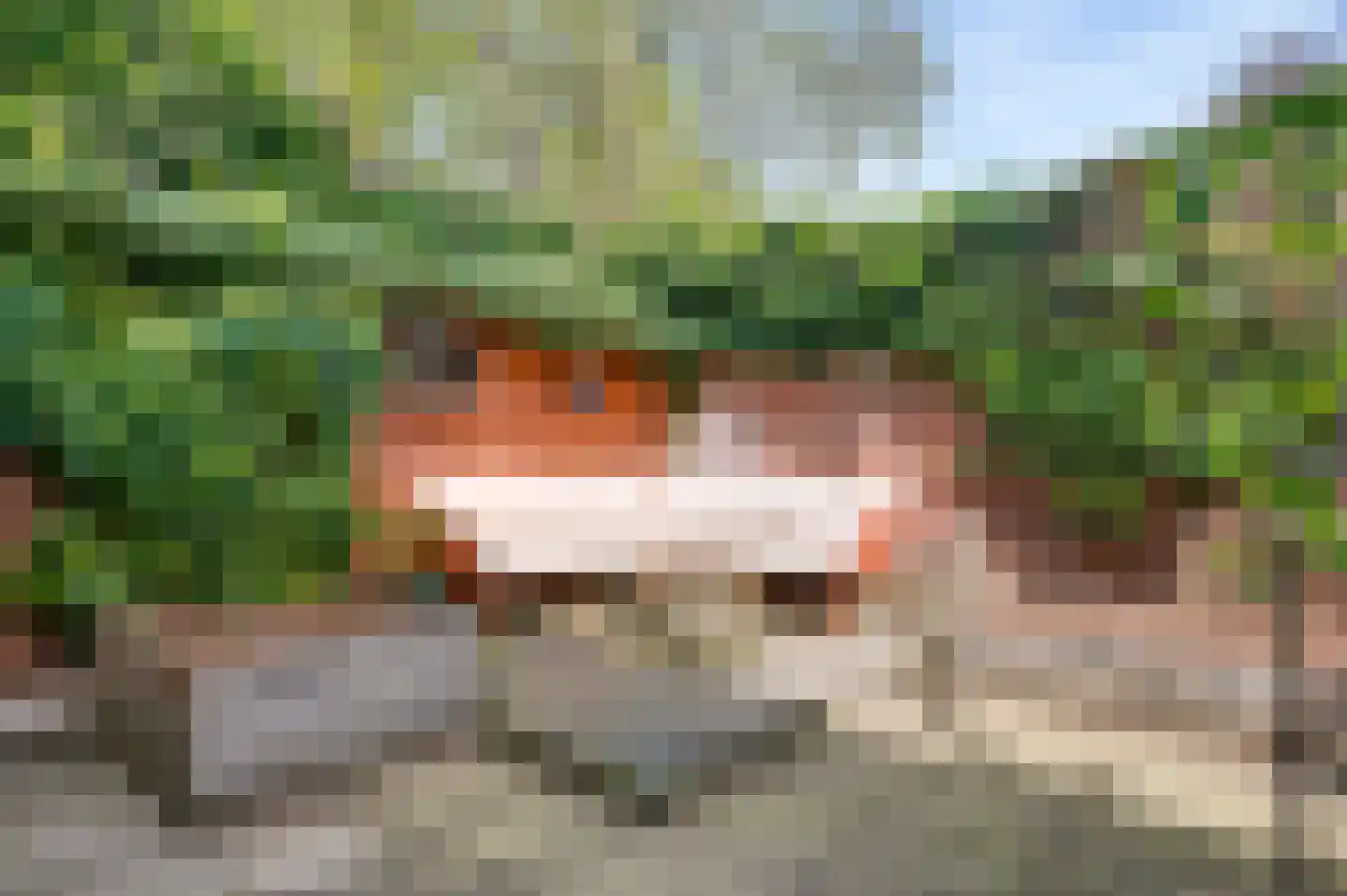 Kapellerlaan 73 Roermond thumbnail 65