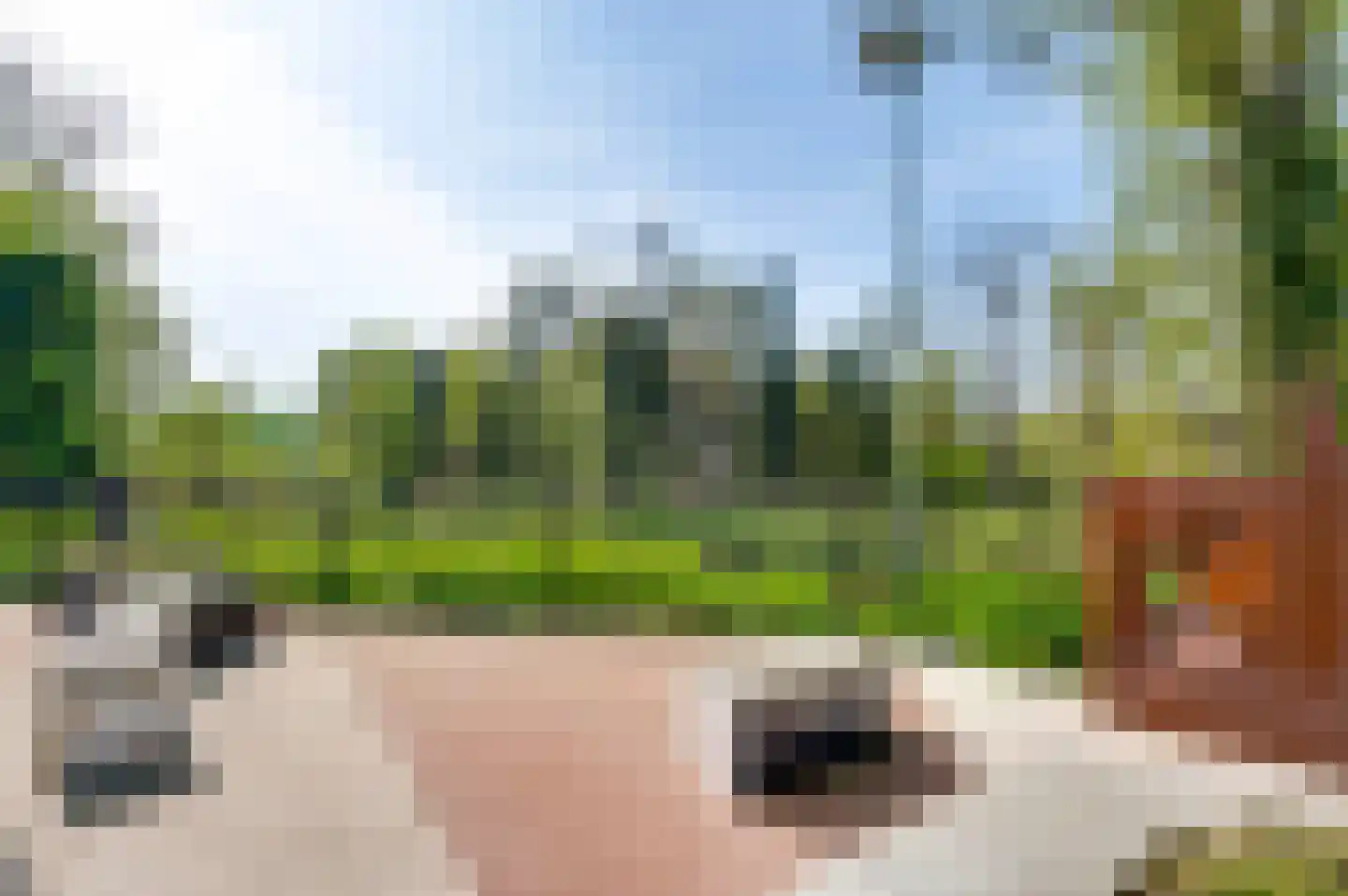 Kapellerlaan 73 Roermond thumbnail 77