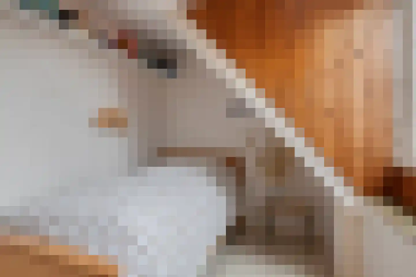 Kapellestraat 10 Veere thumbnail 18