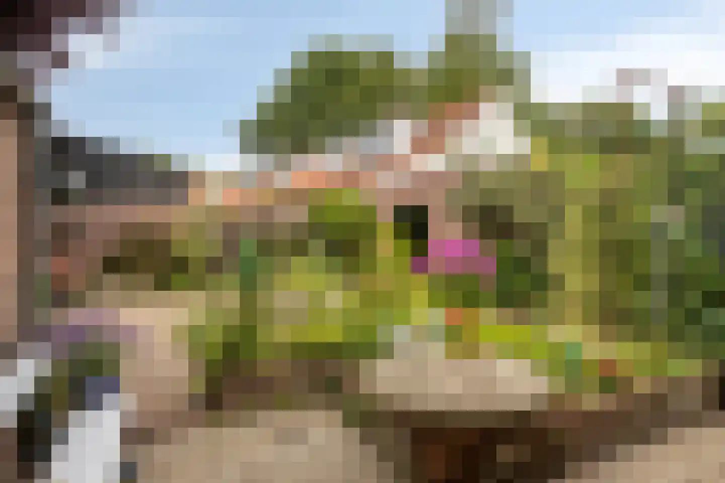 Kapellestraat 10 Veere thumbnail 30