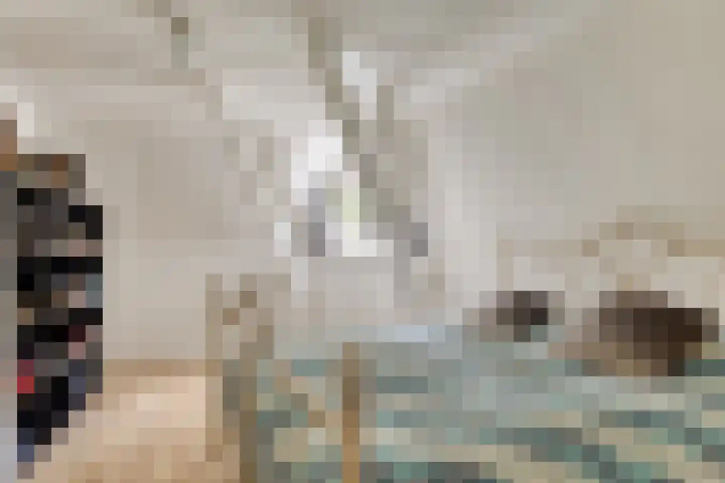 Kapellestraat 16 Veere thumbnail 13