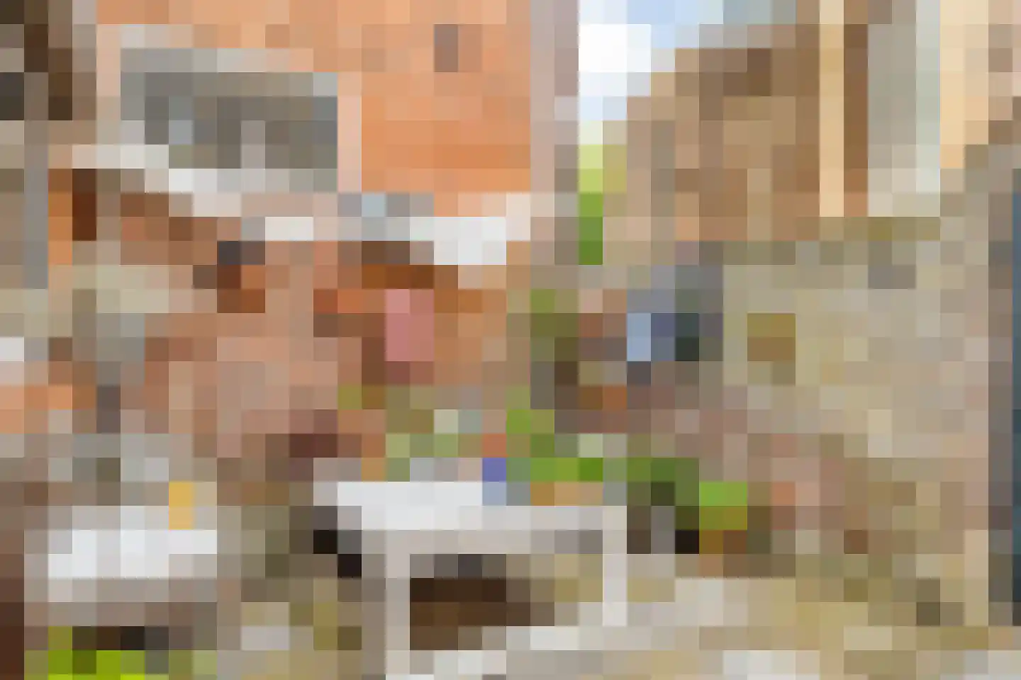Kapellestraat 16 Veere thumbnail 17