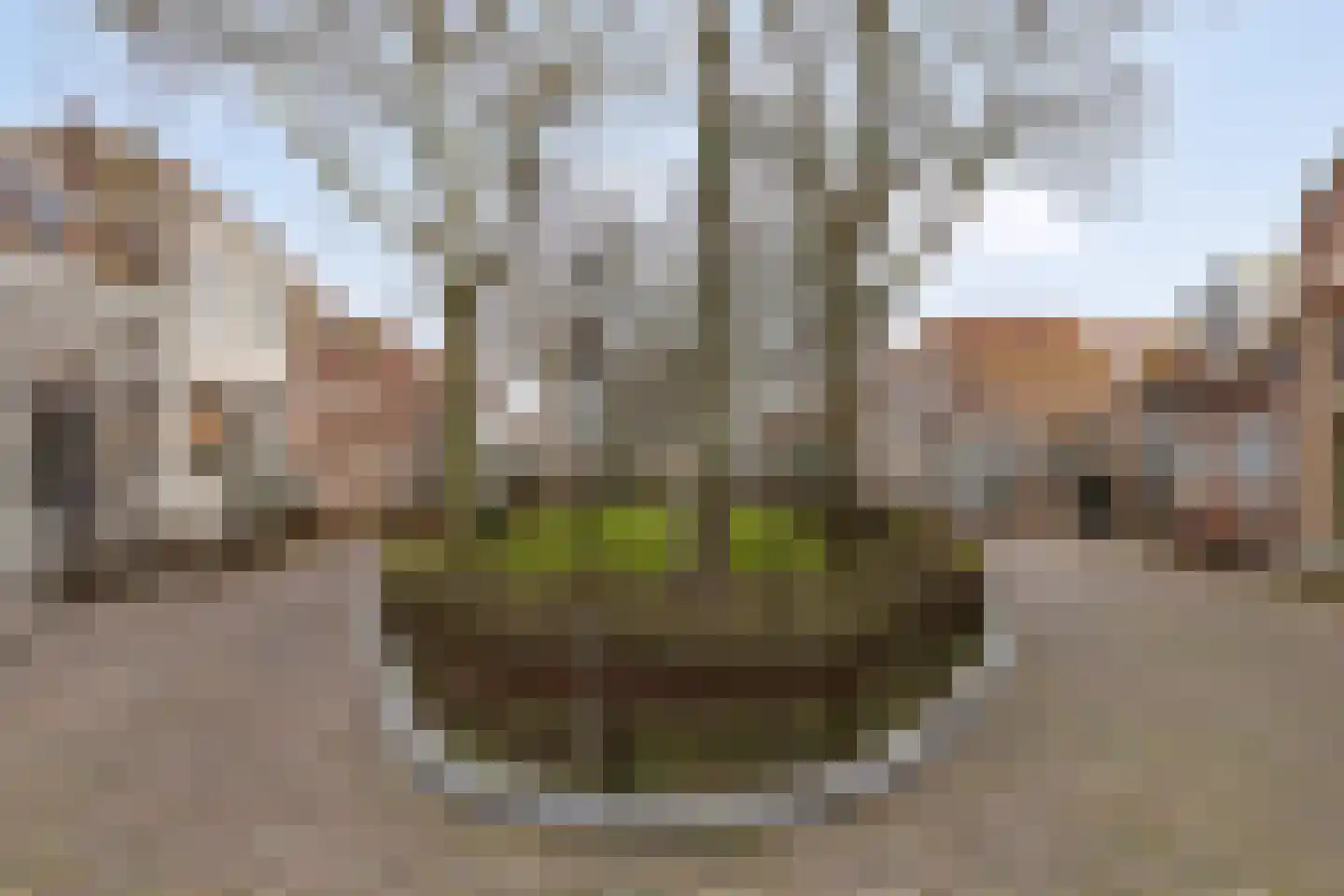 Kapellestraat 16 Veere thumbnail 20