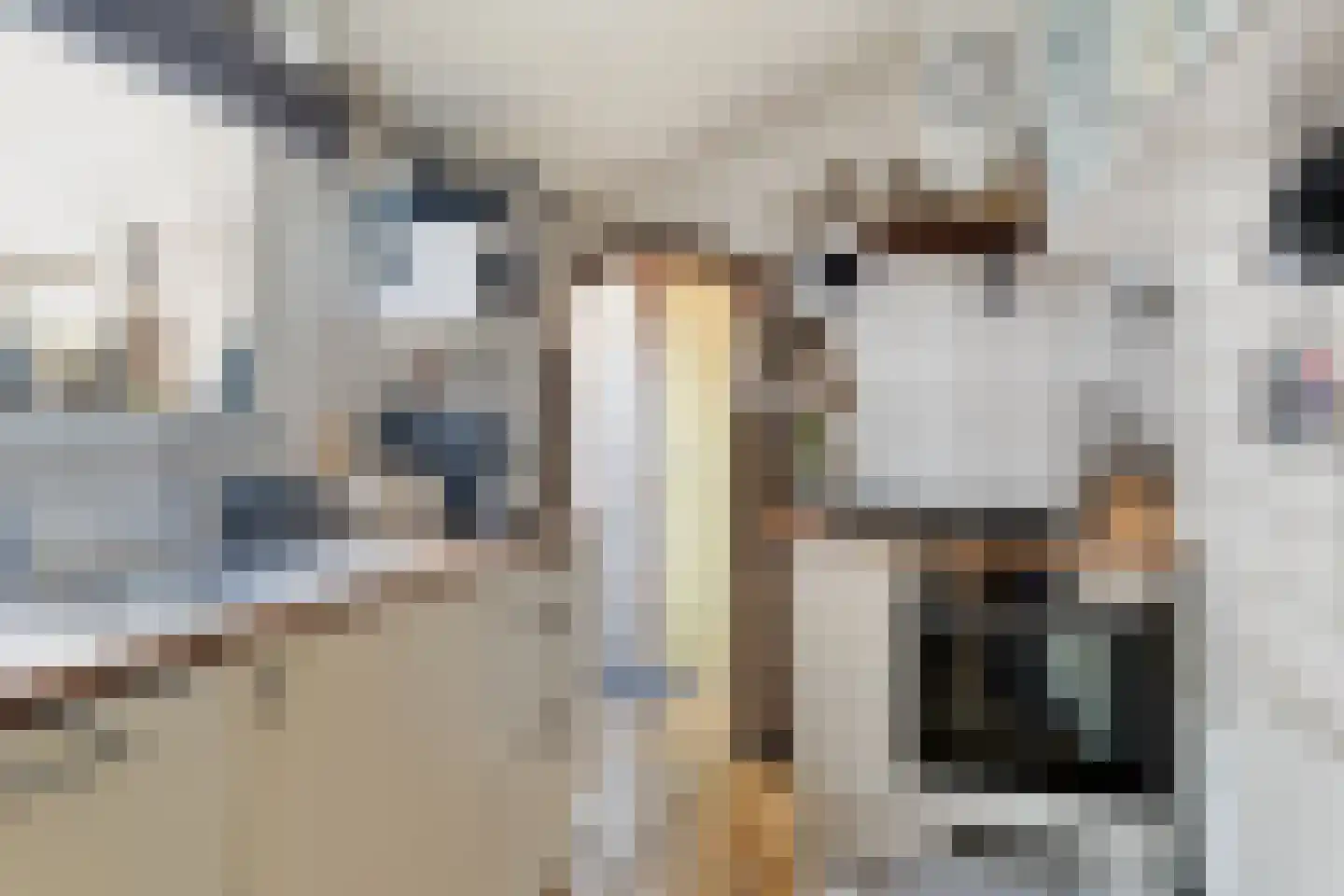 Kapellestraat 16 Veere thumbnail 8