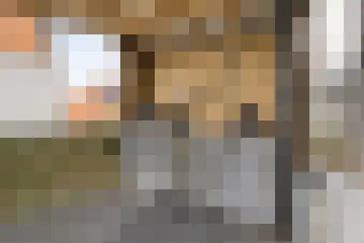 Kapellestraat 20 Zierikzee thumbnail 36