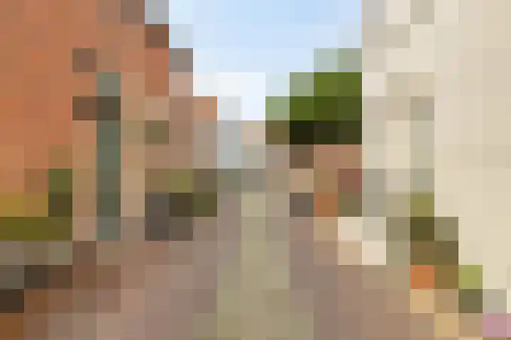 Kapellestraat 20 Zierikzee thumbnail 42