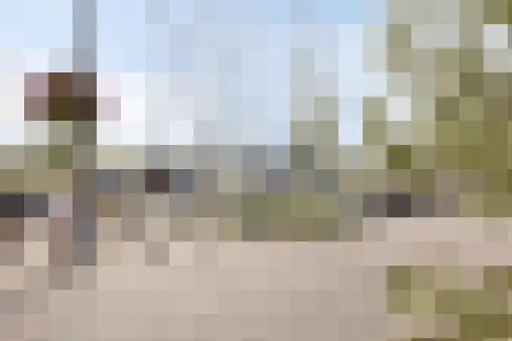 Kapellestraat 20 Zierikzee thumbnail 47