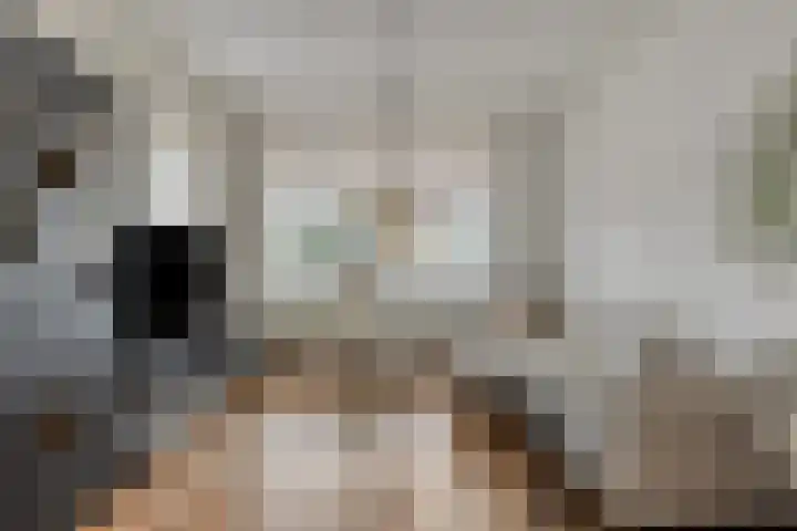 Kapellestraat 20 Zierikzee thumbnail 5