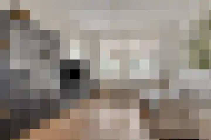 Kapellestraat 20 Zierikzee thumbnail 6
