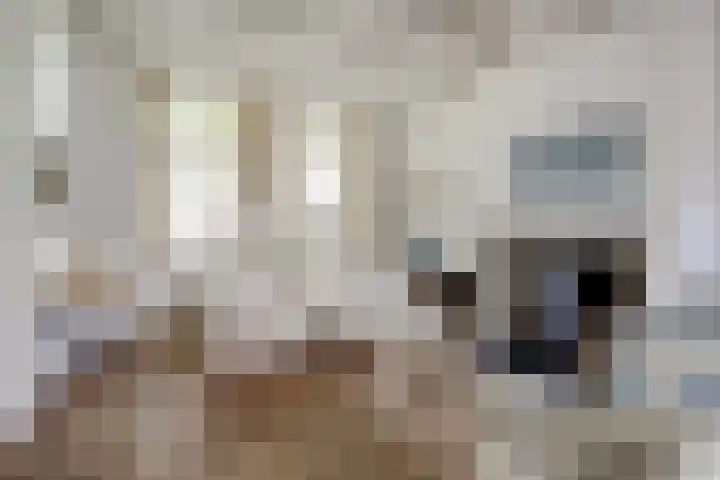 Kapellestraat 23 Veere thumbnail 10
