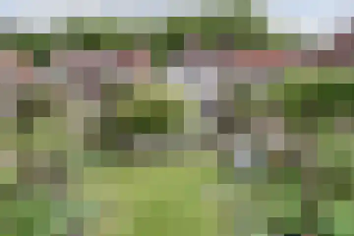 Kapellestraat 23 Veere thumbnail 28