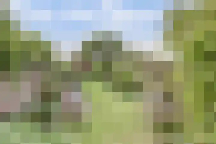 Kapellestraat 23 Veere thumbnail 29