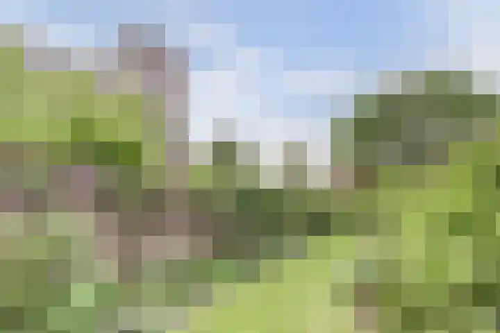 Kapellestraat 23 Veere thumbnail 30