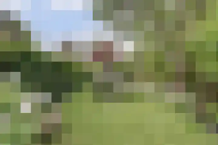 Kapellestraat 23 Veere thumbnail 31