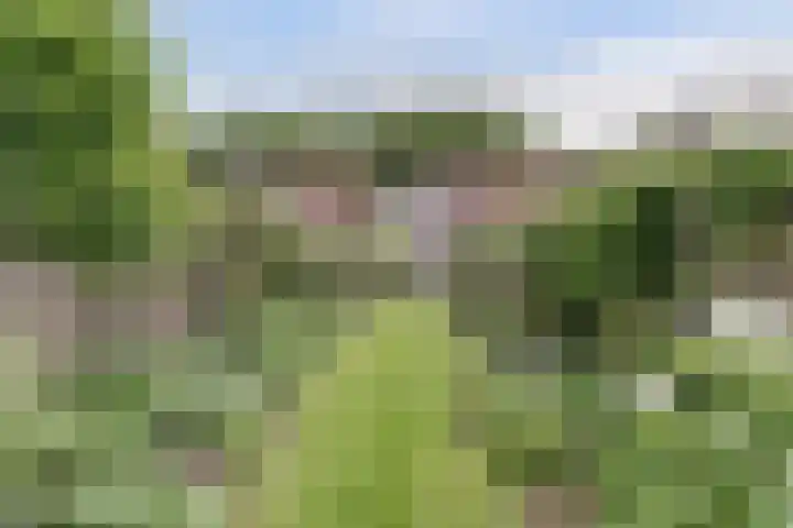 Kapellestraat 23 Veere thumbnail 32