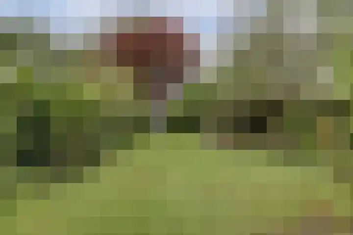 Kapellestraat 23 Veere thumbnail 33
